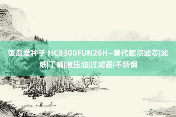 饭岛爱种子 HC8300FUN26H—替代颇尔滤芯|滤纸|丁晴|液压油|过滤器|不锈钢